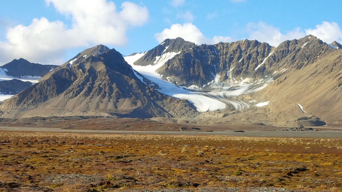 “Gateway to the Arctic”: the last private plot of land on Svalbard is put up for sale