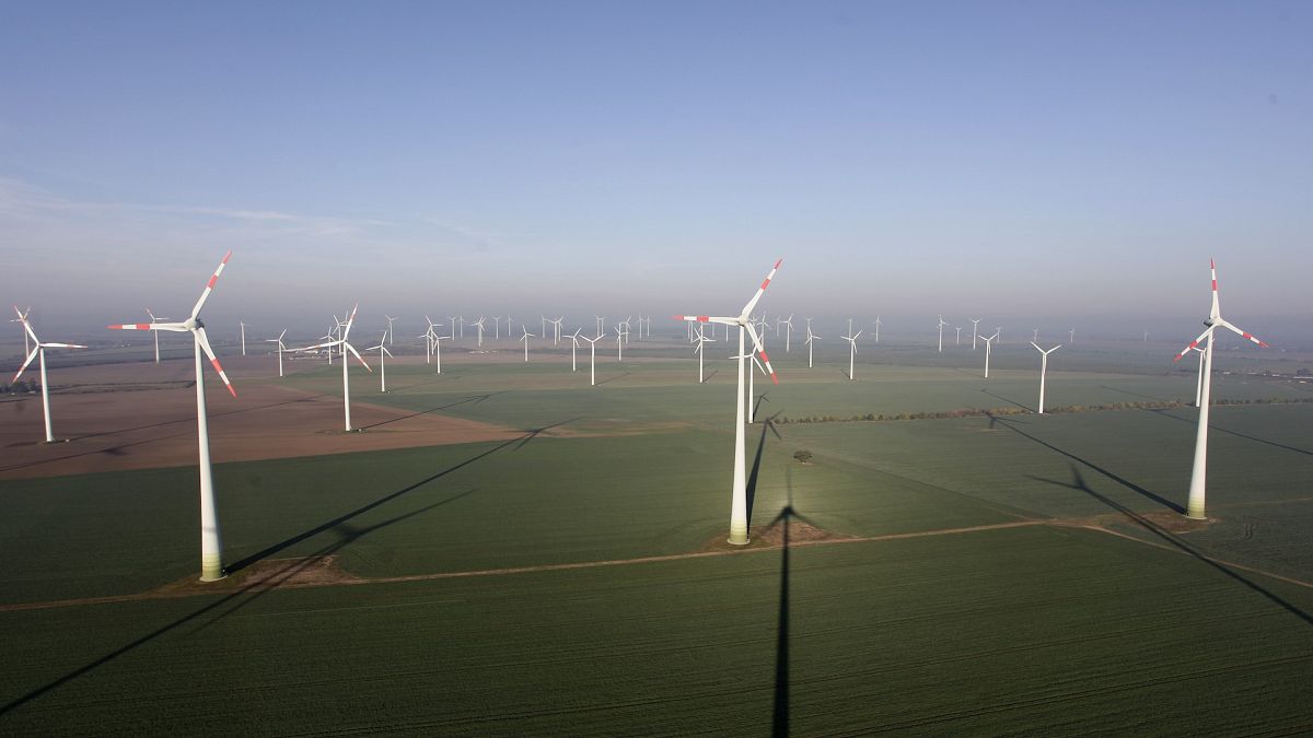 EU elections: will the far-right surge affect “green” energy?